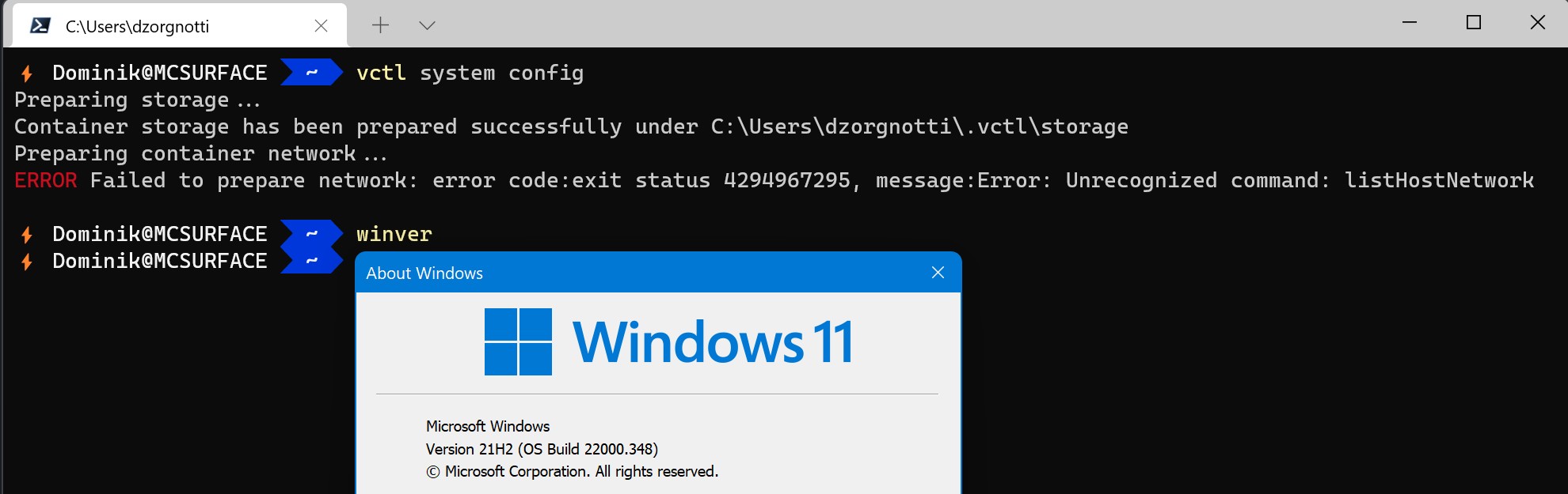 vctl listnetworks error Image Caption